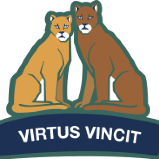 Colegio Pumahue logo